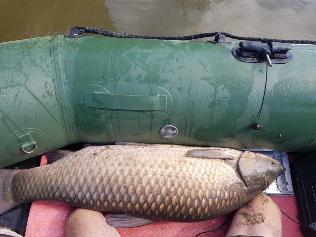 Als ik hem uit het water heb gevist ligt er een enorme voorn in de boot. Ik schat hem zelfs 25 kg!