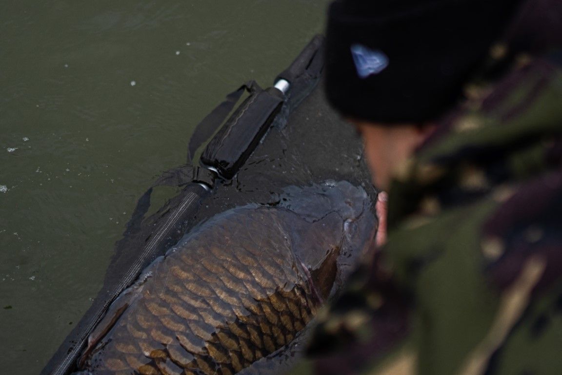 Nieuw Benelux record schubkarper - een Fish of a Lifetime