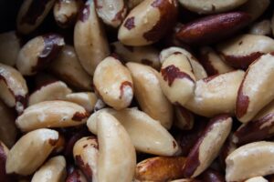 Het bereiden van paranoten (brazil nuts)