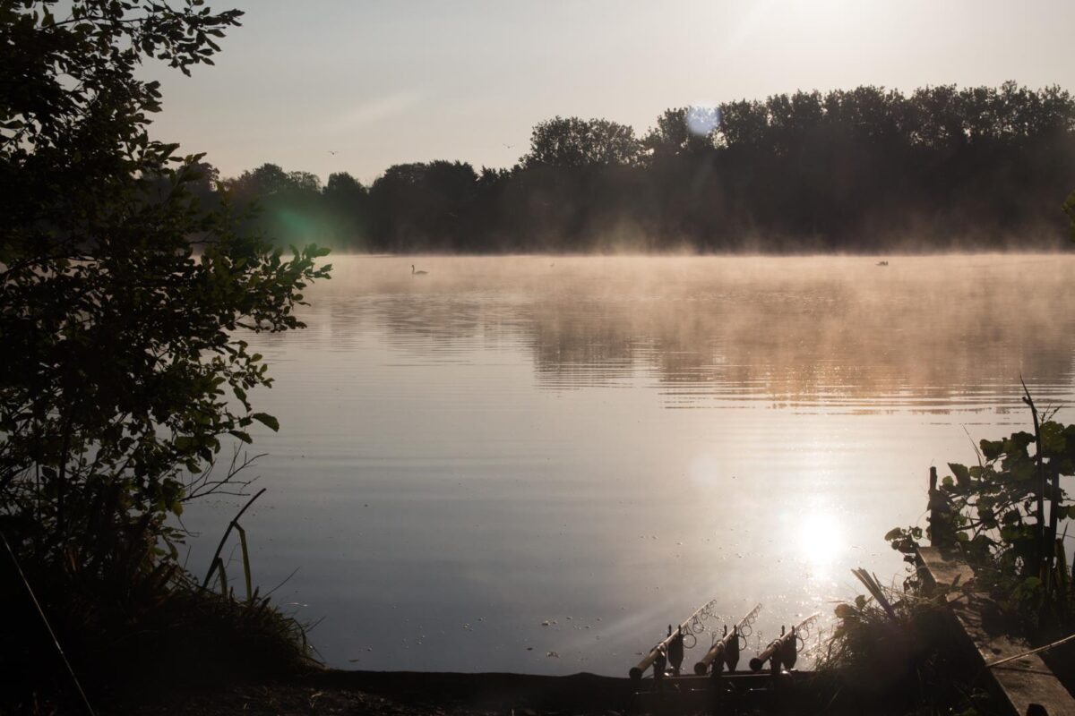 Een zeer druk bevist water in Engeland vraagt om visserij op kleine schone plekjes tussen het wier