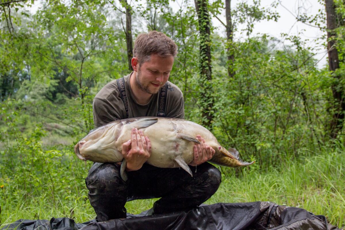 Wat een buffel!