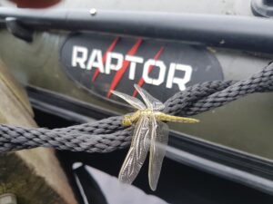 Raptor 170 Fast Airdeck