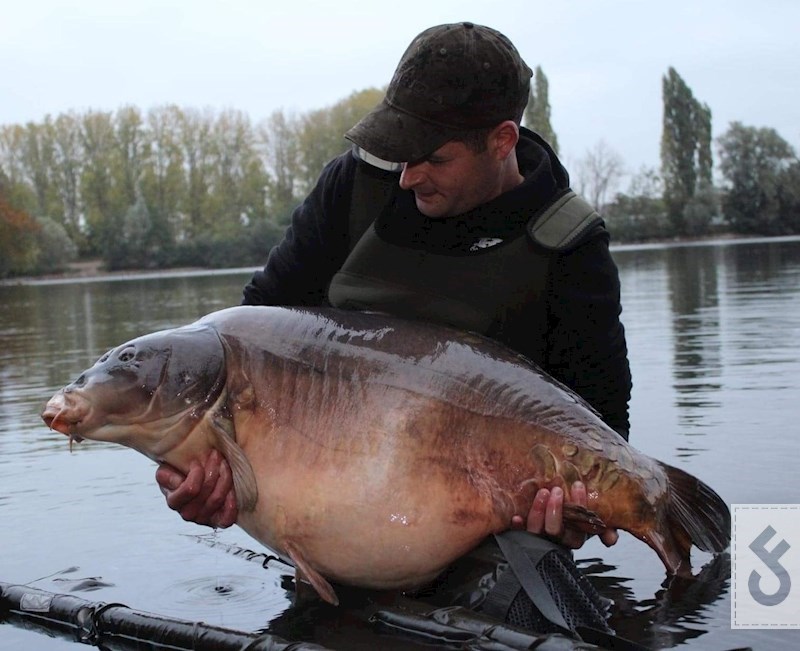 De Hongaar met een gewicht van meer dan 30kg! (Eendenmeer)