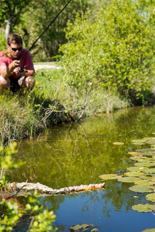 Oppervlaktevissen op karper in de zomer maanden