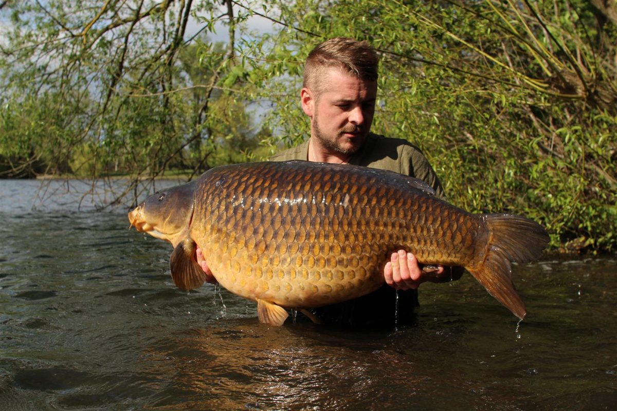 The Burghfield Common