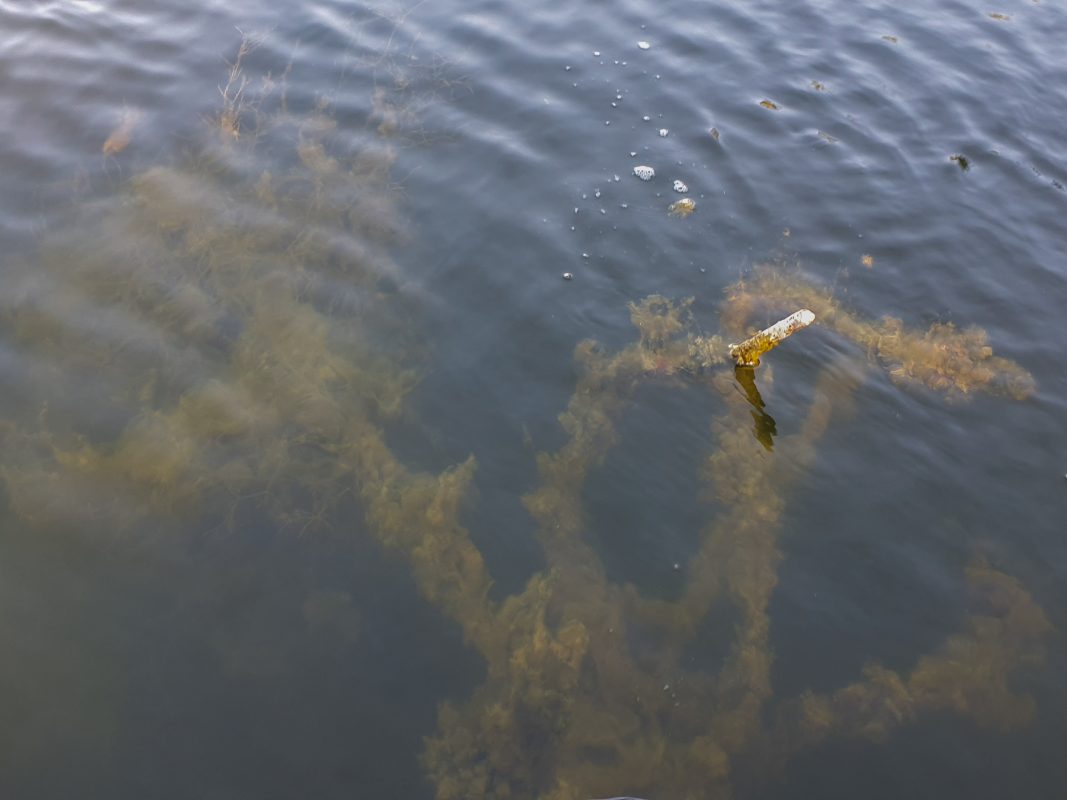 De wateren liggen vol met zooi