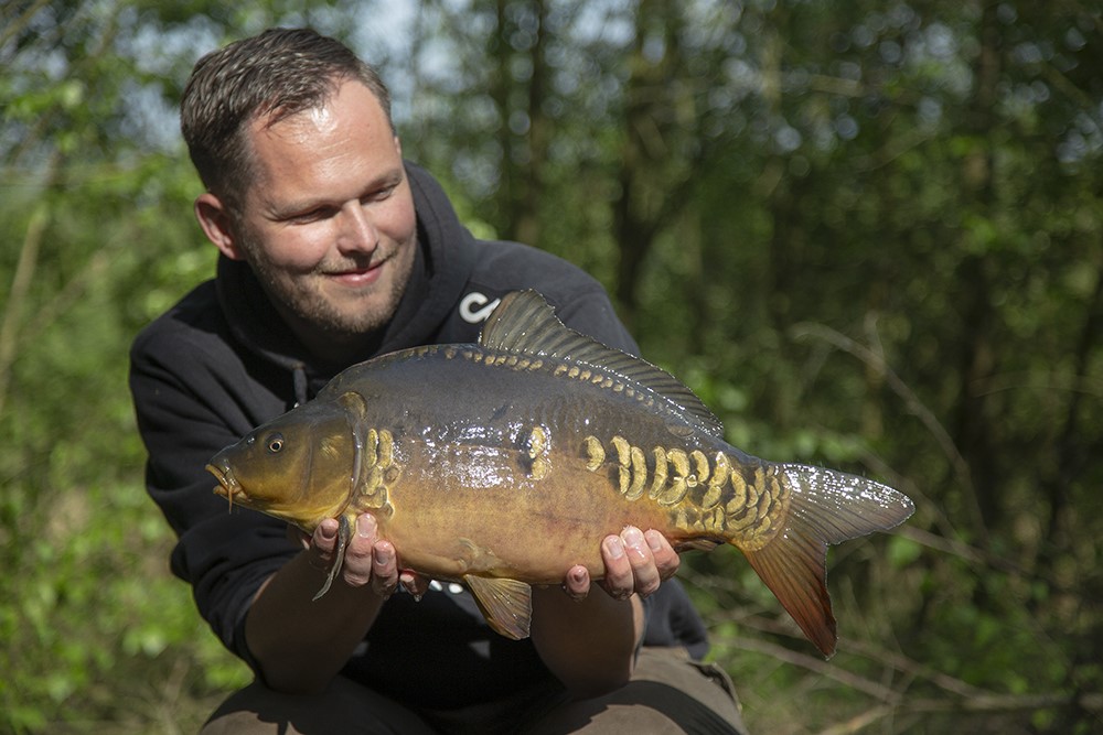 rigs, onderlijnen voor karper op een rij - CarpFeeling