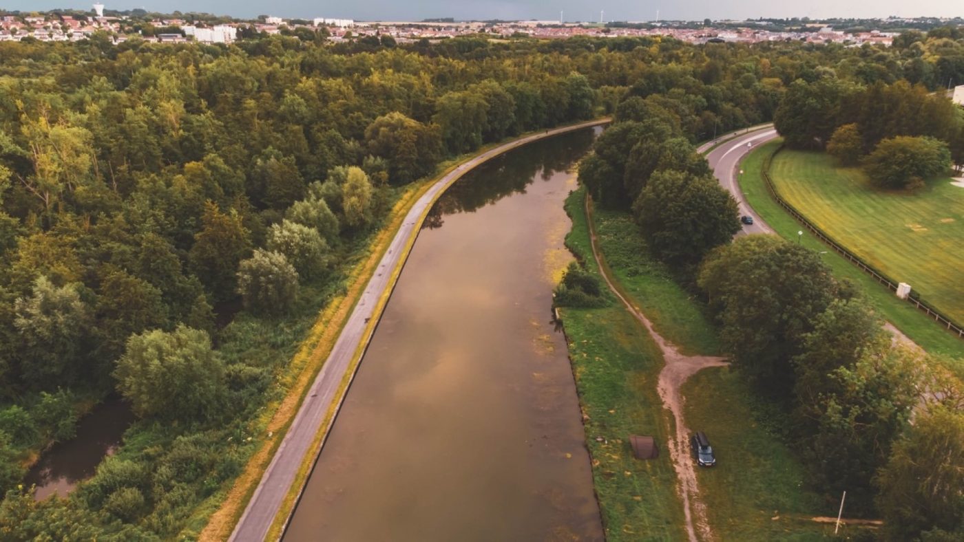 Karpervissen aan een kanaal