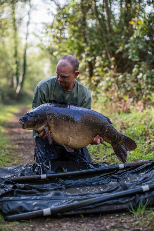 Grote zigs voor grote karpers. En deze was groot!