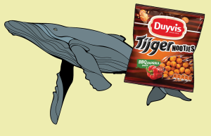 domme vragen