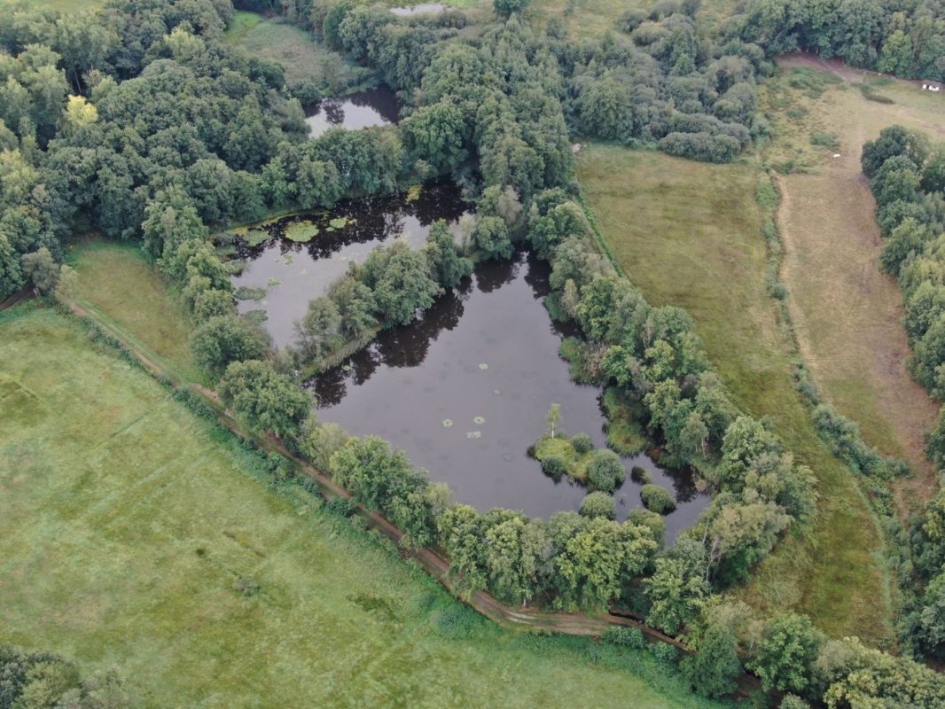 Nature Carp Lake vanuit de lucht gezien