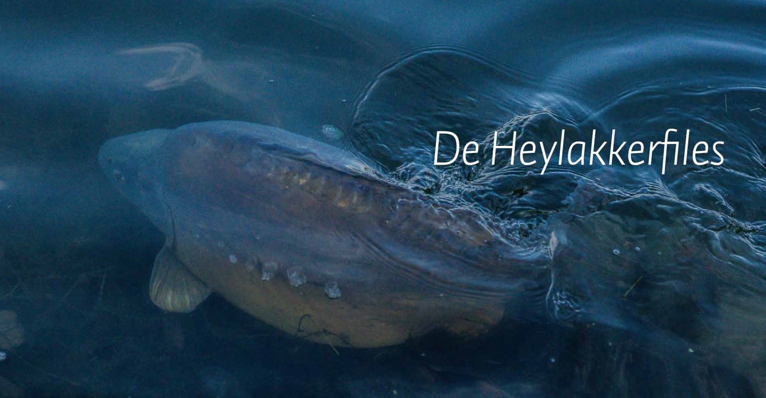 Review 'De Wraak van de Weerhaak' - Alijn Danau - CarpFeeling