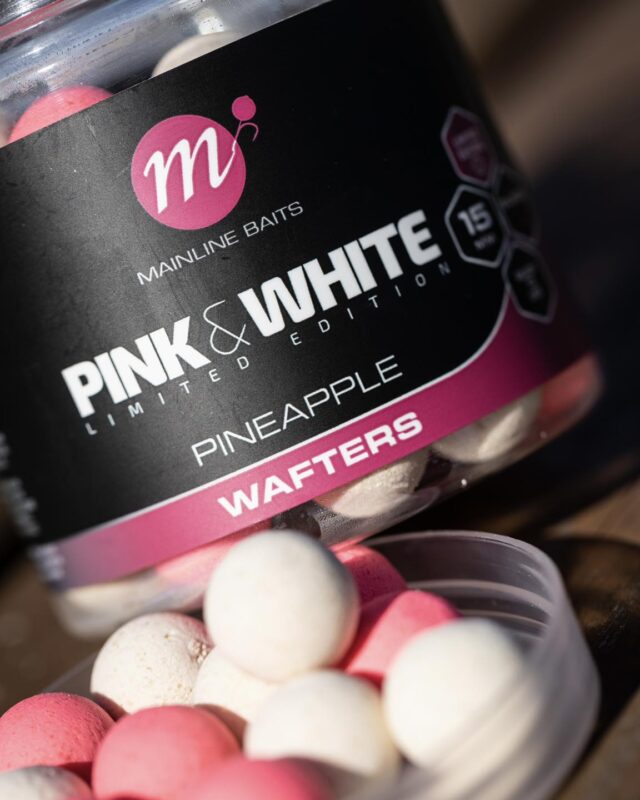CF News Flash - mei 2023 -Mainline Pink & White wafters