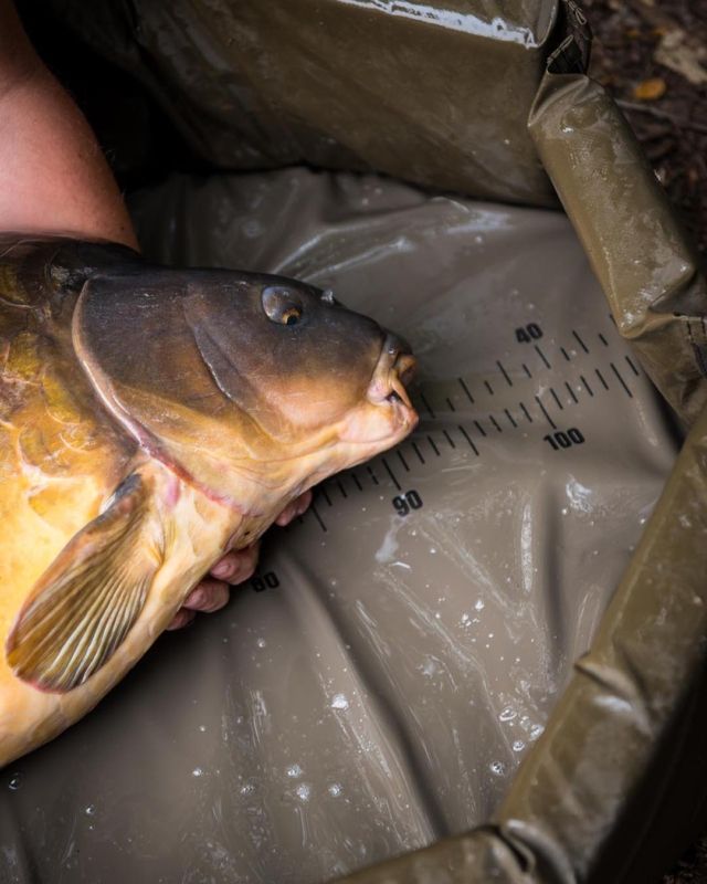 De nieuwe Carpmaster Welded Mat bevat ook een gedrukt meetlint tot 110cm