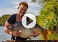 etang de gaulois header – bas van klaveren (Middel)