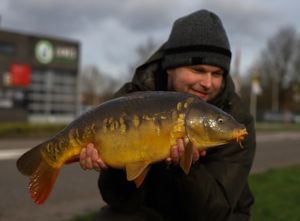 karper in het voorjaar